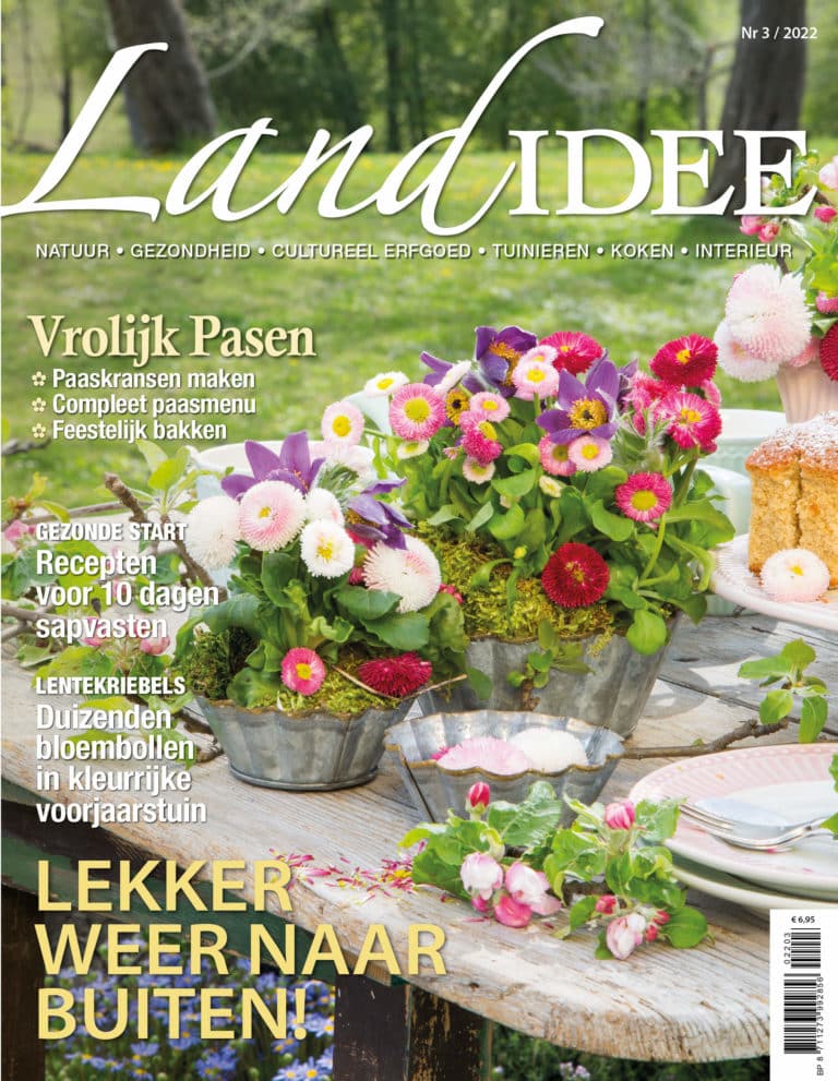 Landidee