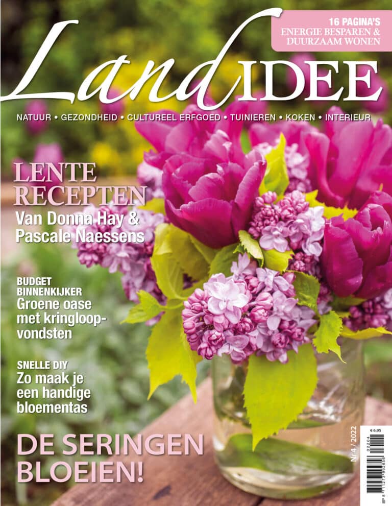 Landidee