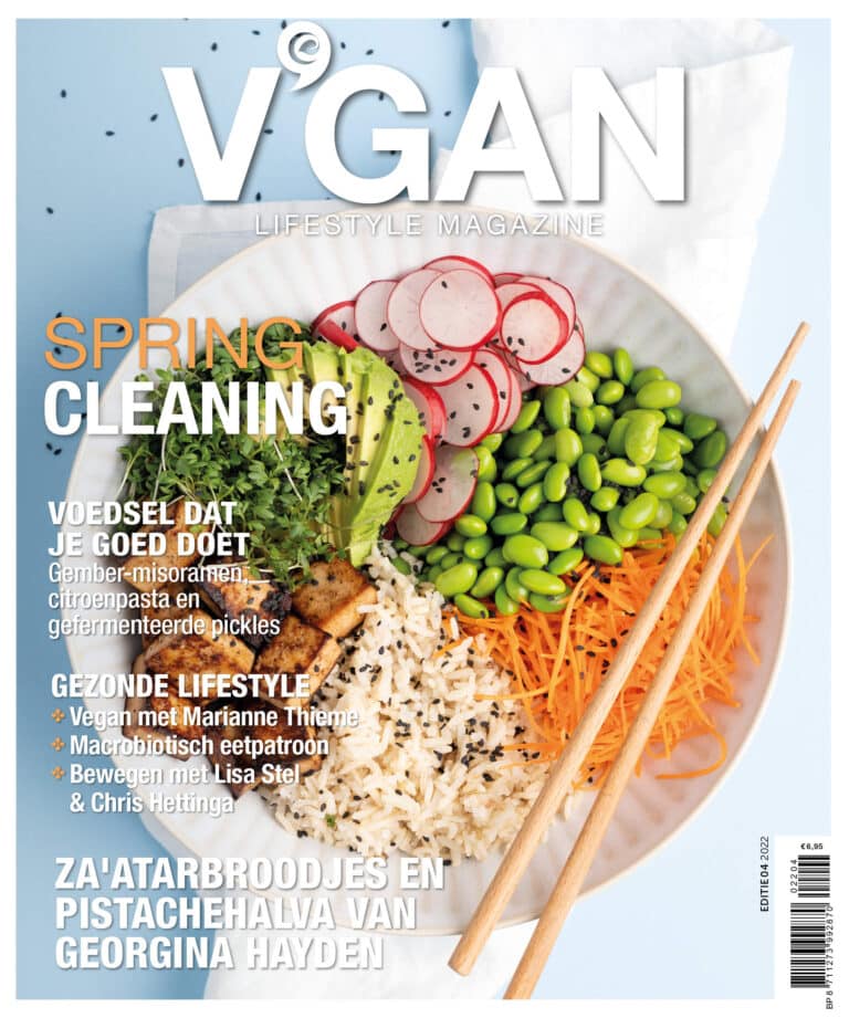 V'GAN Lifestyle Magazine