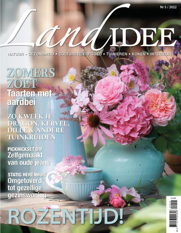 Landidee