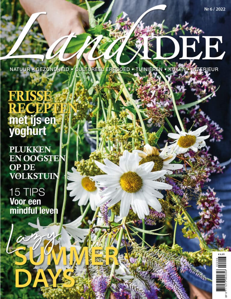 landidee