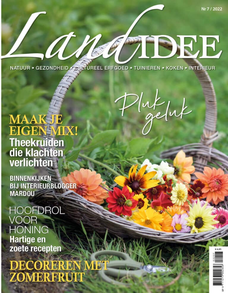 landidee