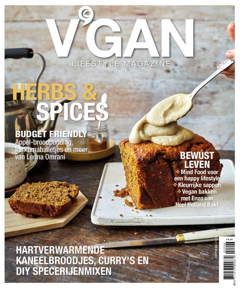 V'GAN Lifestyle Magazine