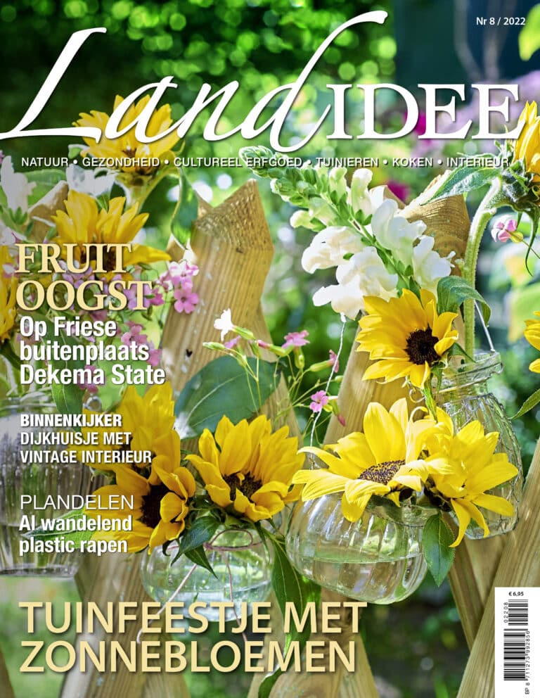Landidee