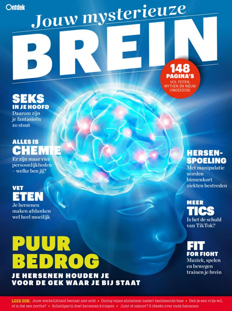 Ontdek, Brein