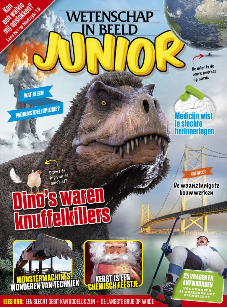 Wetenschap in beeld