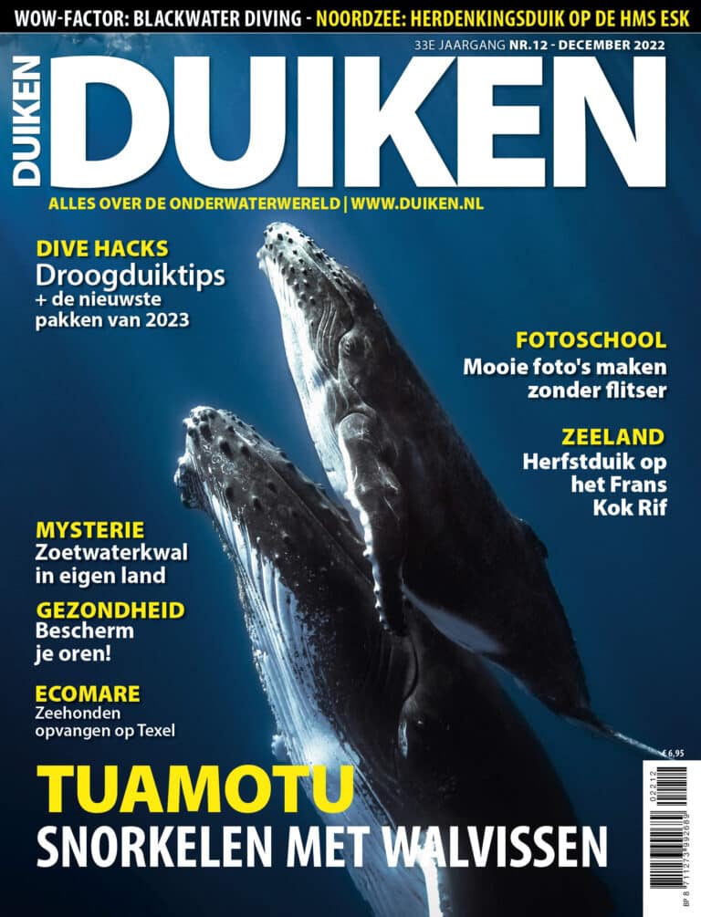 Duiken, walvissen