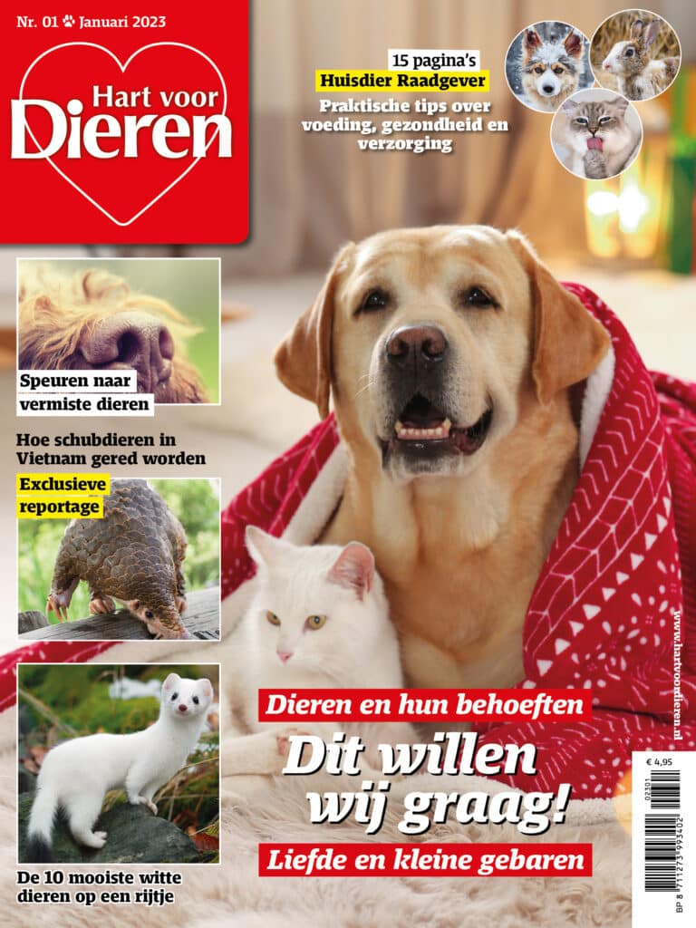 Hart voor dieren