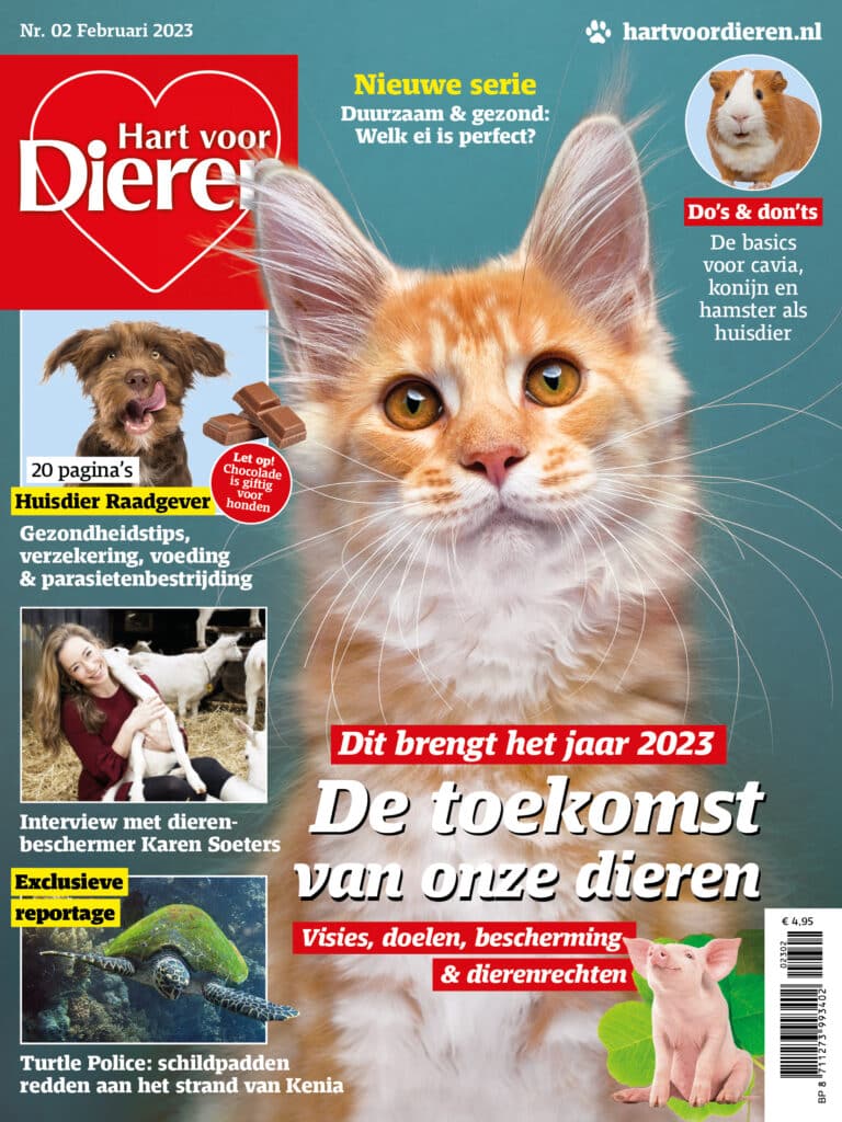 Hart voor dieren