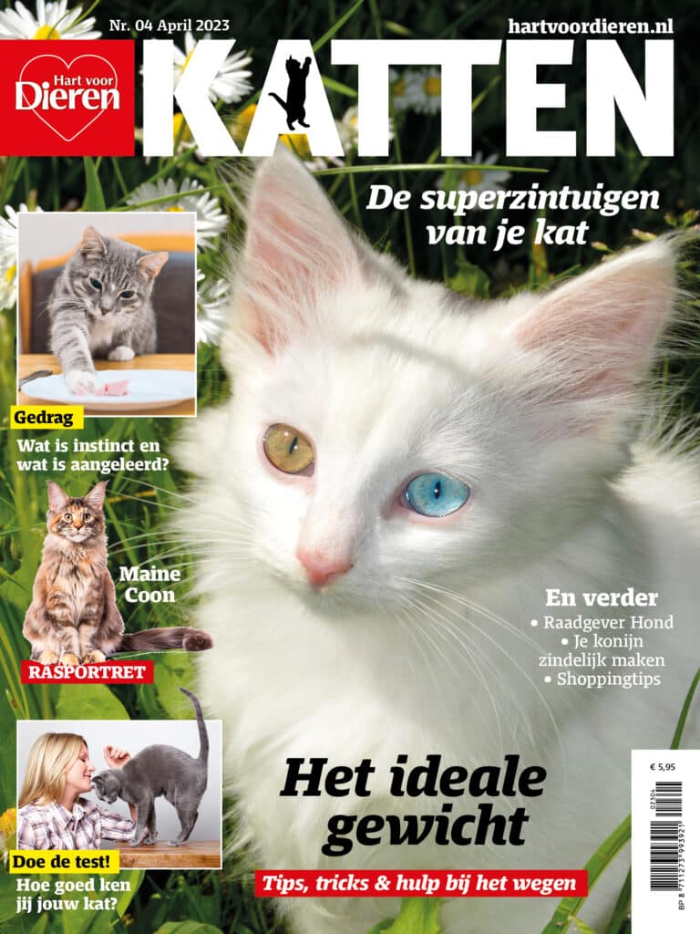 hart voor dieren 04 2023