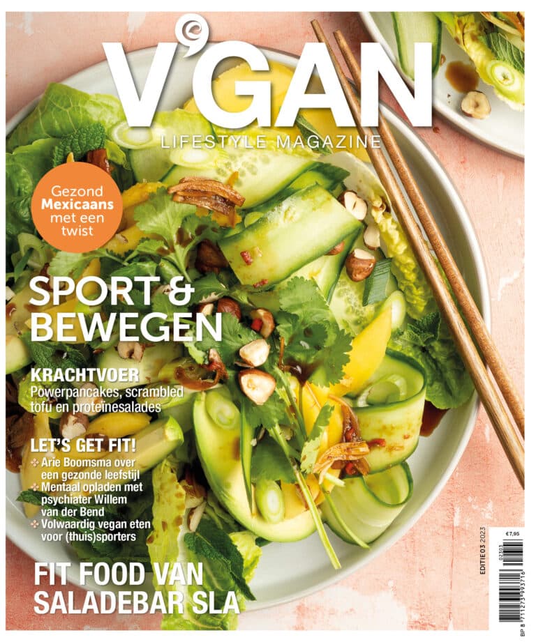 v'gan lifestyle magazine 03 2023