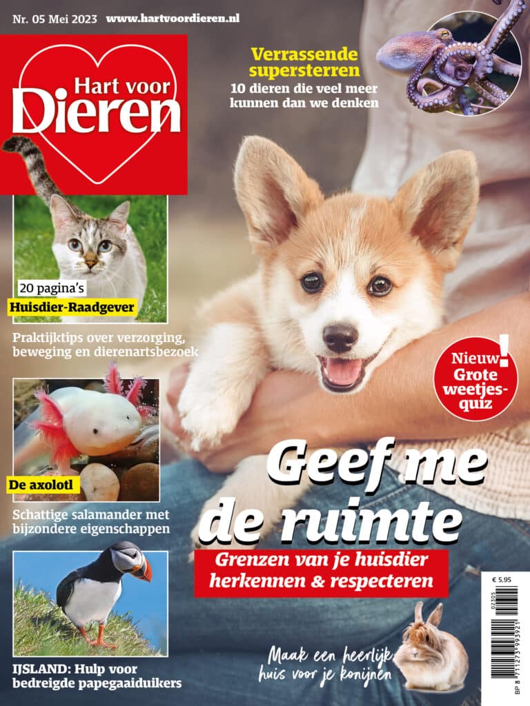 Hart voor dieren