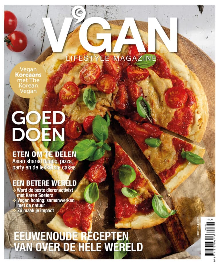 V'GAN Lifestyle magazine