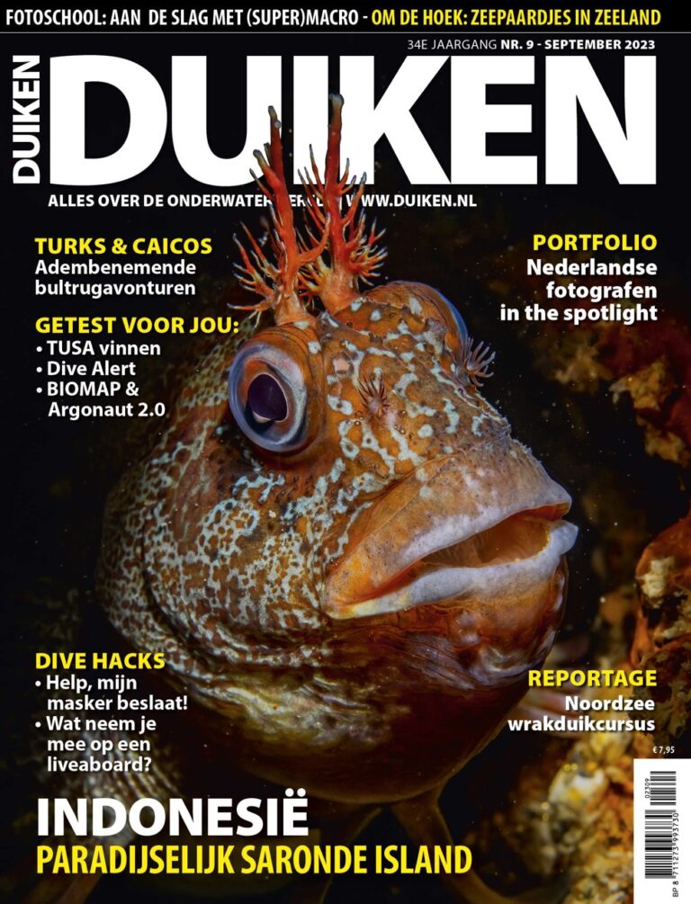 Duiken