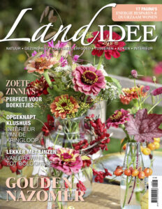 Cover Landidee 08-2024
