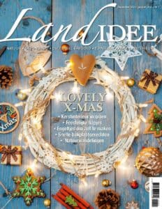 Landidee