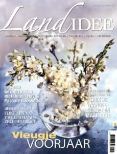 Landidee