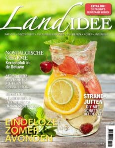 Landidee