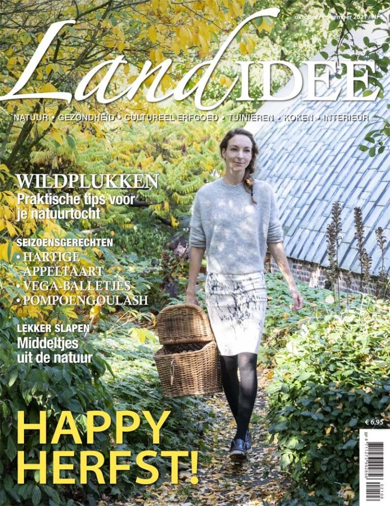 Landidee